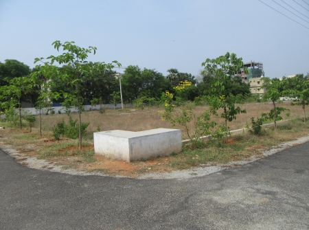 5) Li id 409 - Pic 6.JPG